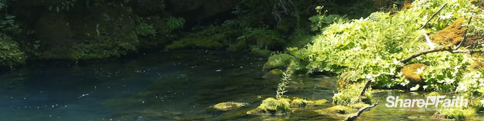 Forest Creek Nature Triple Wide Video Background