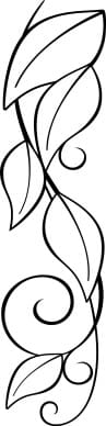 Leaves and Vines Swirl Line Art
